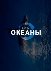 Жизнь и Океаны