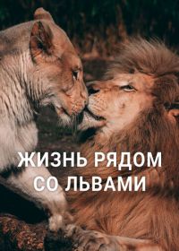 Жизнь рядом со львами