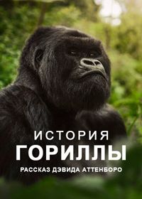 История гориллы: Рассказ Дэвида Аттенборо