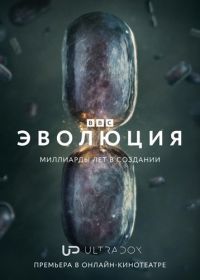 Эволюция