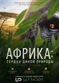 Африка: сердце дикой природы